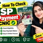 How To Check BISP New Payment By CNIC